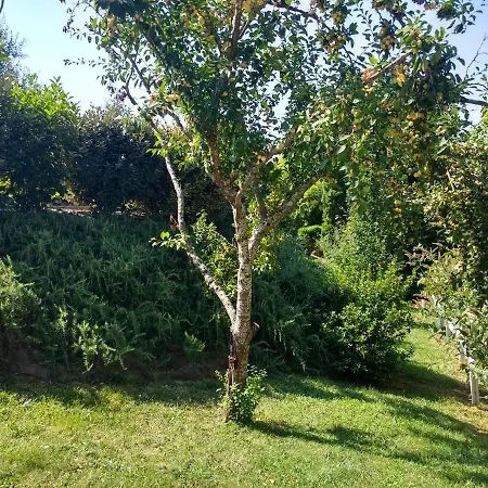 Terrefort Bed & Breakfast 3*