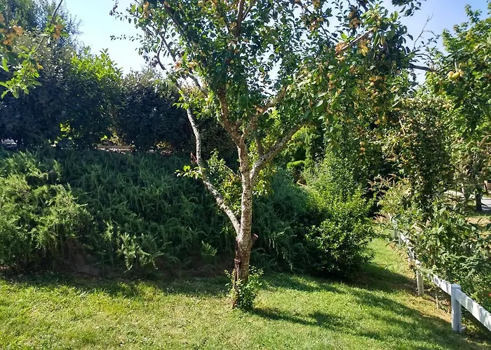 Terrefort Отель типа 